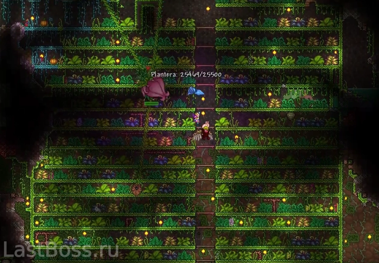 Фарм-арена для боя