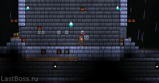 Где найти броню из северного дерева в Terraria?