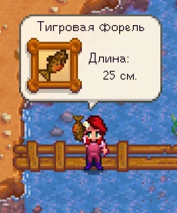 Где поймать рыбу в Stardew Valley